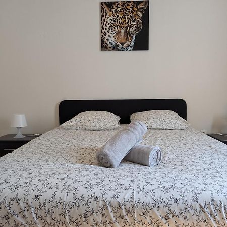 Le Mirage - Appartement 2 Chambres, Salon, Cuisine Equipee, Parking Et Wifi Gratuit Mulhouse Exteriör bild