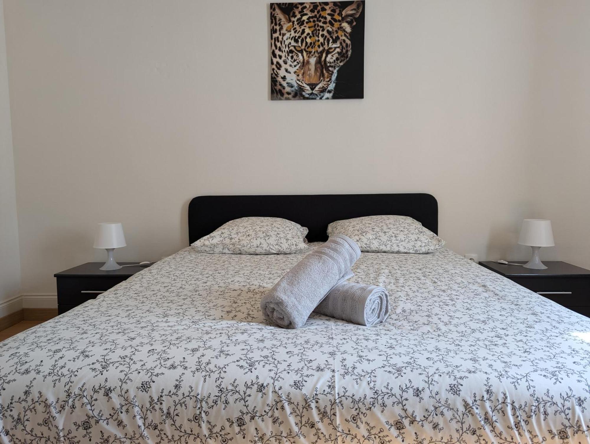 Le Mirage - Appartement 2 Chambres, Salon, Cuisine Equipee, Parking Et Wifi Gratuit Mulhouse Exteriör bild